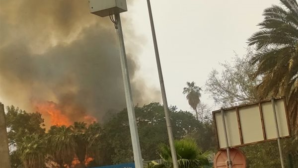 حريق هائل بحديقة