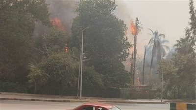 حاوية نفايات.. أول رد من الزراعة بشأن حريق حديقة الأورمان