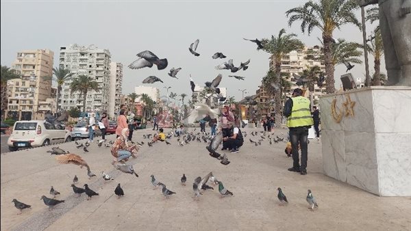 ميدان الشهداء ببورسعيد