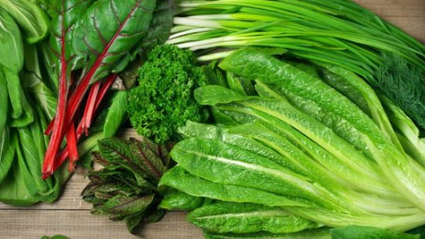 الخضروات الورقية