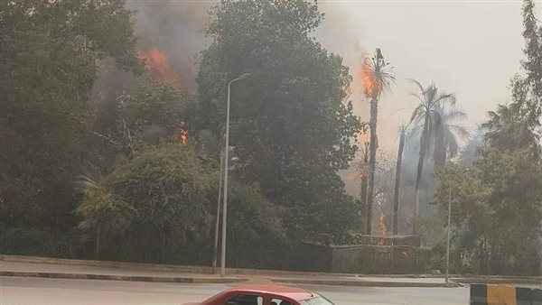 حريق حديقة الأورمان