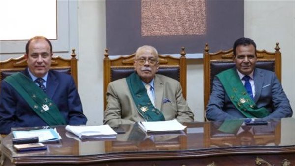 المستشار محمد حماد