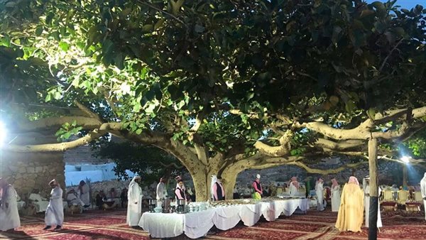 الشجرة المعمرة 