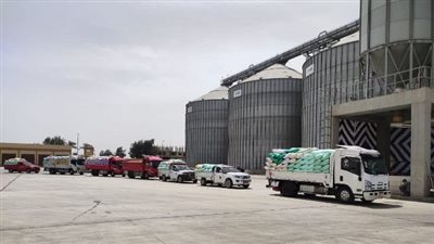 صوامع الشرقية تستقبل 873 طن قمح في انطلاق موسم الحصاد | صور