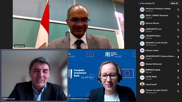 جانب من المشاركة