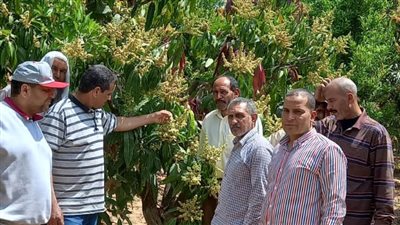 الزراعة تصدر تقريرا بأنشطة معهد بحوث أمراض النباتات خلال مارس 2022