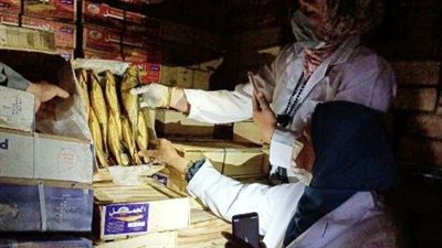 قبل العيد.. ضبط 535 كيلو أسماك ورنجة مجهولة المصدر في الشرقية | صور