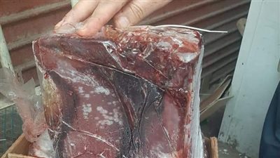 بيطري الأقصر في رمضان: ضبط 10 أطنان لحوم وفراخ وكبدة مجمدة فاسدة 