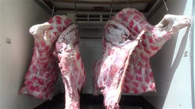 الزراعة: سعر كيلو اللحمة في منافذنا 160 جنيها