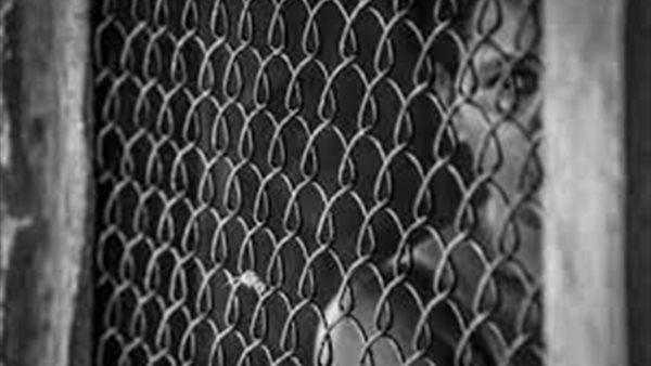 متهمة- أرشيفية