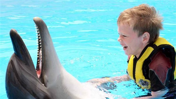 ارتفاع نسب الإشغال