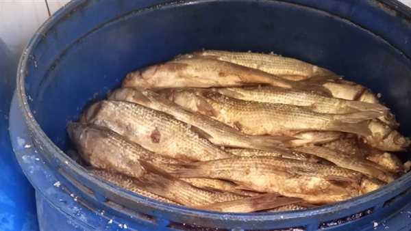 جانب من الكميات المضبوطه