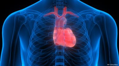 منها الإفراط في تناول اللحوم ومبيضات القهوة.. 5 أشياء تدمر صحة القلب