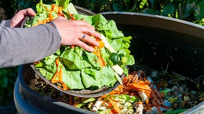 للحفاظ على المياه والموارد الطبيعية.. فاو تقدم نصائح لتقليل هدر الأغذية