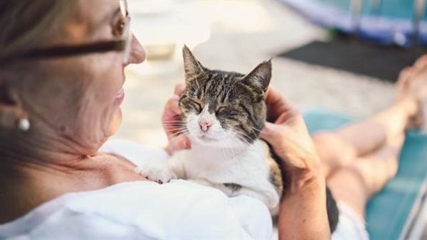 تربية الحيوانات الأليفة