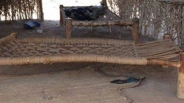 العنقريب فى حلايب