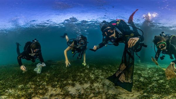 البكتيريا اللاصقة