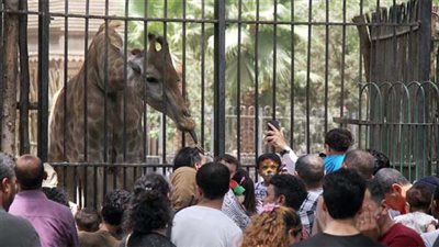 تبدأ بـ 5 جنيهات.. تعرف على أسعار تذاكر الحدائق العامة خلال أسبوع عيد الفطر