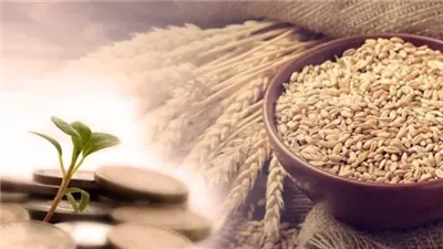 موعد خروج زكاة الفطر.. انتبه قبل صلاة العيد