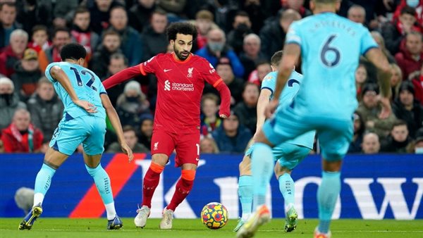 ليفربول ونيوكاسل