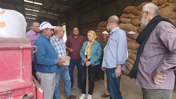 جانب من توريد القمح