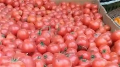 من جنيه ونصف لـ 20 جنيهًا.. نقيب الفلاحين: 18 جنيهًا ارتفاعًا في سعر كيلو الطماطم