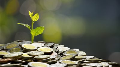 الإفتاء: إخراج زكاة الفطر قبل صلاة العيد الأولى.. ويجوز إخراجها إلى مغرب يوم العيد