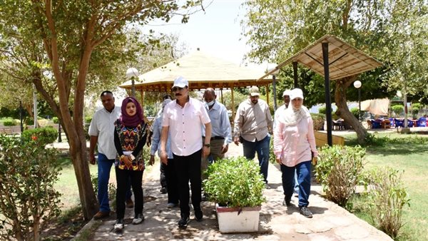 محافظ أسوان