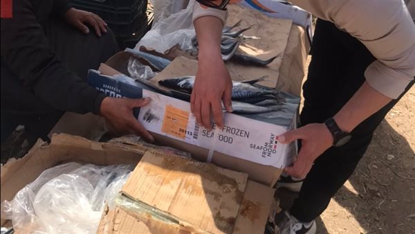 حملات تفتيشية على