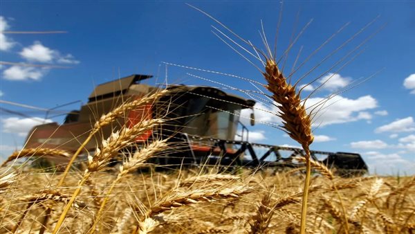 أزمة غذاء عالمية