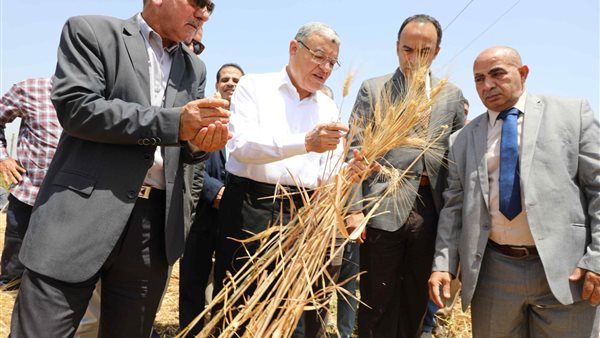 محافظ المنيا يشهد