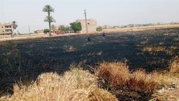 حريق بمحصول القمح