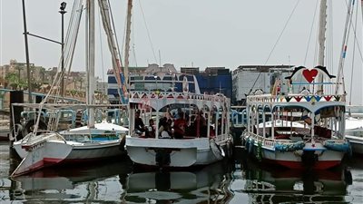 خلاف بمحلية النواب بشأن جهة منح تراخيص المراكب النيلية.. والسجيني: مشكلة القيادات أنها لم تقرأ الدستور