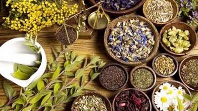 الزراعة توجه نصائح مهمة لمزارعي النباتات الطبية والعطرية