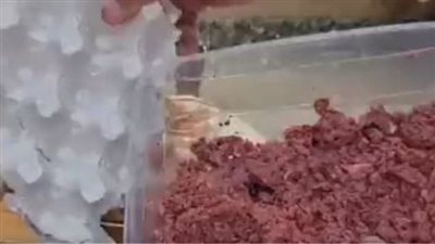 بسبب أزمة حواوشي كراتين البيض.. طلب إحاطة يحذر من مخاطره: أبناؤنا أغلى ما نملك