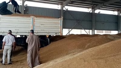 معدات الزراعة الآلية تواصل حصاد القمح في توشكى.. وتجهيز وإعداد التقاوى الصيفية