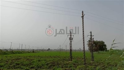 عاصفة ترابية خفيفة تضرب الأقصر في ثالث أيام عيد الفطر