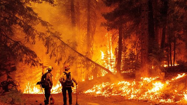 اليوم العالمي لرجال