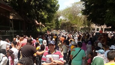 تكدس وزحام من المواطنين على زيارة حديقة الحيوانات بالجيزة | بث مباشر 