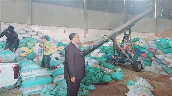 أعمال توريد القمح