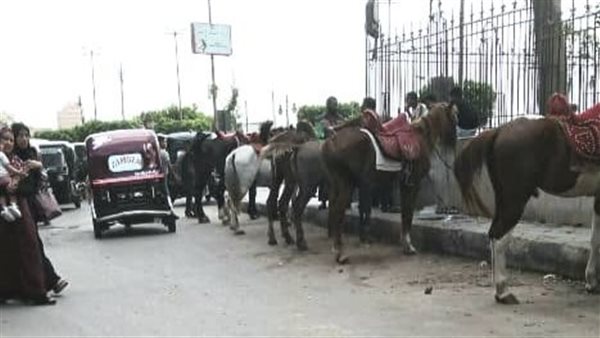 سور مجلس مدينة كفر