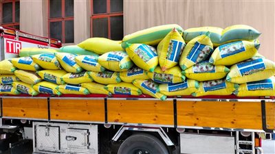 بعد غدٍ.. انطلاق ماراثون موسم بشاير الخير لتوريد الأقماح المحلية بالإسكندرية