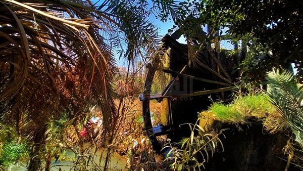 الفيوم.. تصوير إيمان