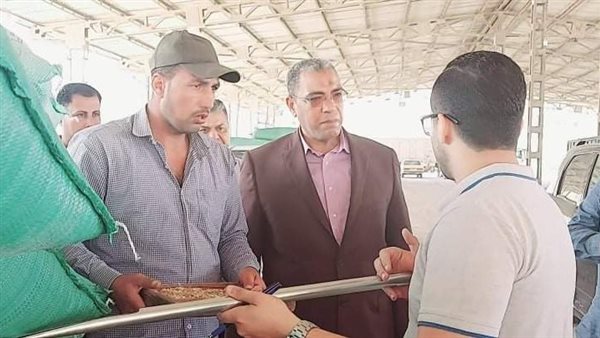 توريد القمح للشون