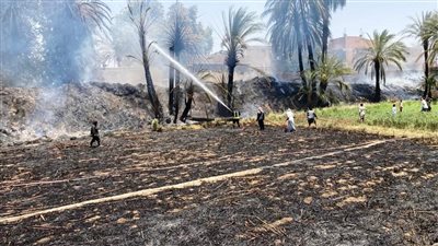 السيطرة على حريق ضخم بقرية الزنيقة بأسوان