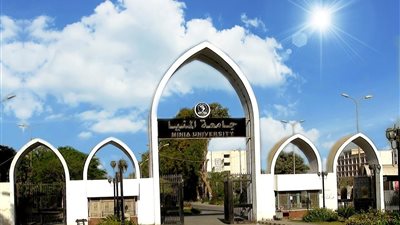 رئيس جامعة المنيا ينعى أبطال القوات المسلحة شهداء الهجوم الإرهابي بسيناء