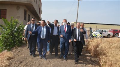 محافظ القليوبية: توريد 21379 طن قمح بصوامع المحافظة | فيديو 
