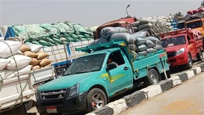 توريد 12 ألف طن من الأقماح بالصوامع والشون ببني سويف 