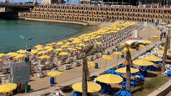 شواطئ الإسكندرية