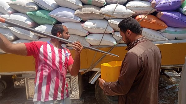 متابعة استلام القمح